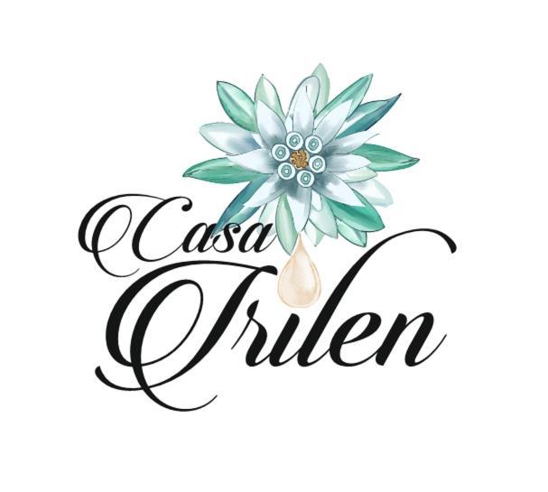 Hotel Casa Irilen Mînăstirea Humorului Exteriér fotografie