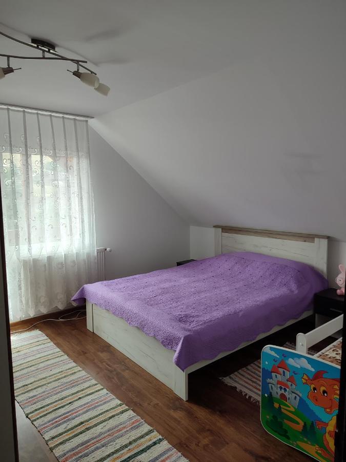 Hotel Casa Irilen Mînăstirea Humorului Exteriér fotografie