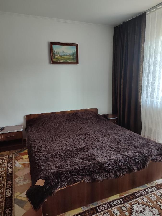 Hotel Casa Irilen Mînăstirea Humorului Exteriér fotografie